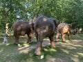 A herd of 100 elephant sculptures have taken up space in LondonÃ¢â¬â¢s Royal Parks